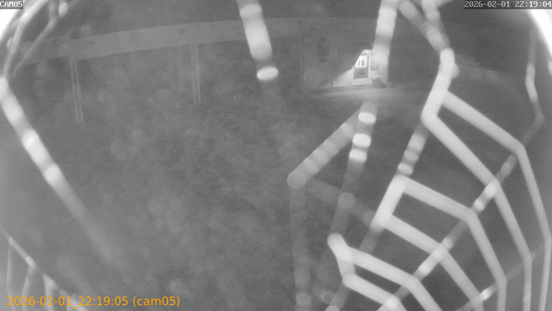 thumbnail_20260201221905