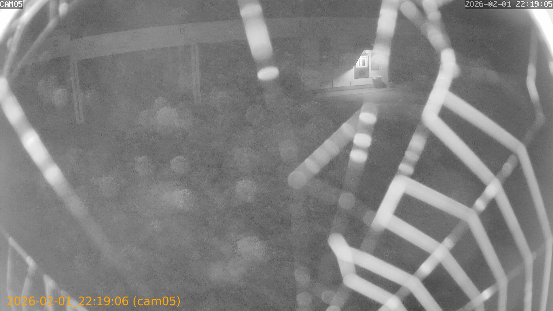 thumbnail_20260201221906