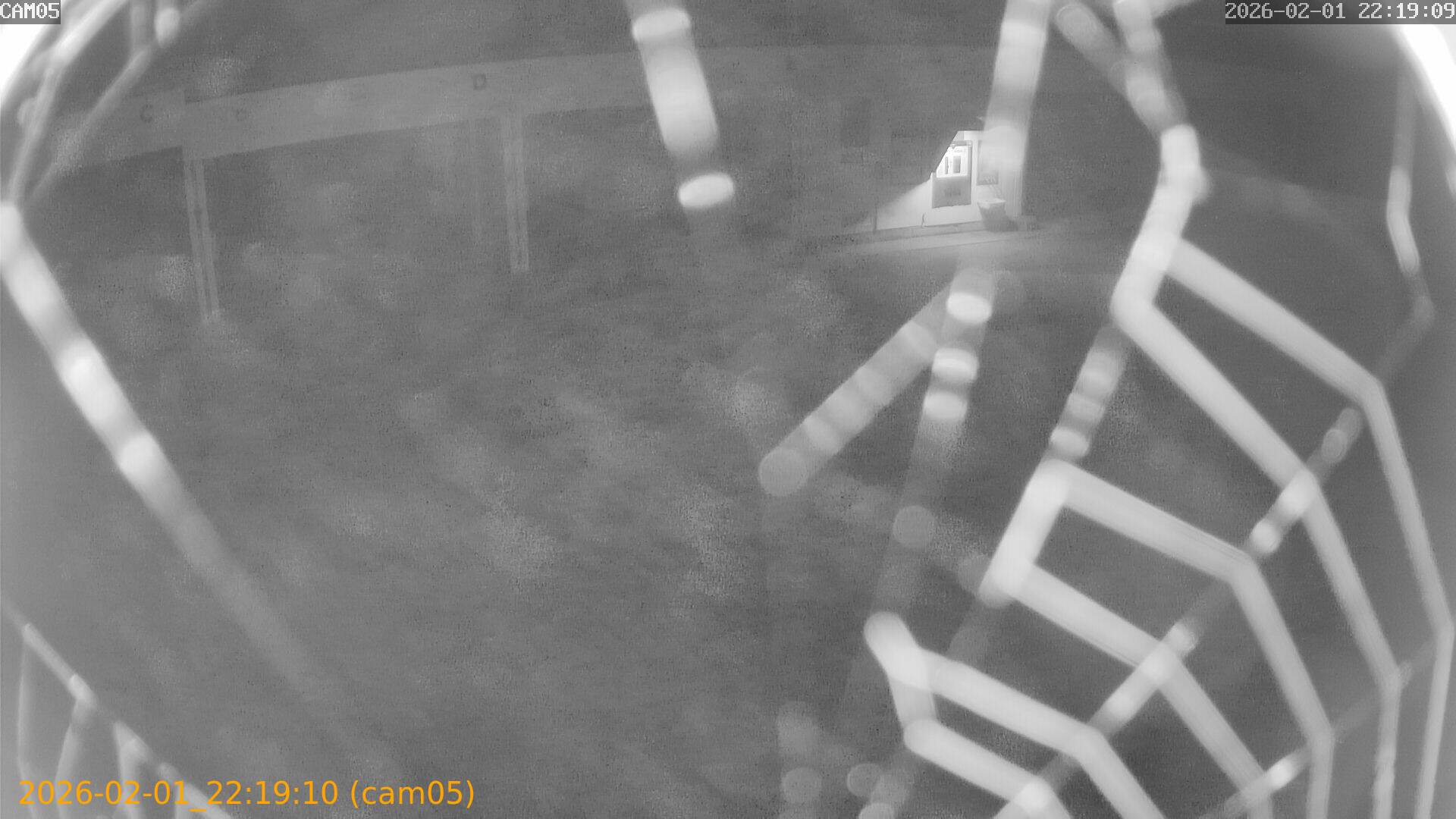 thumbnail_20260201221910