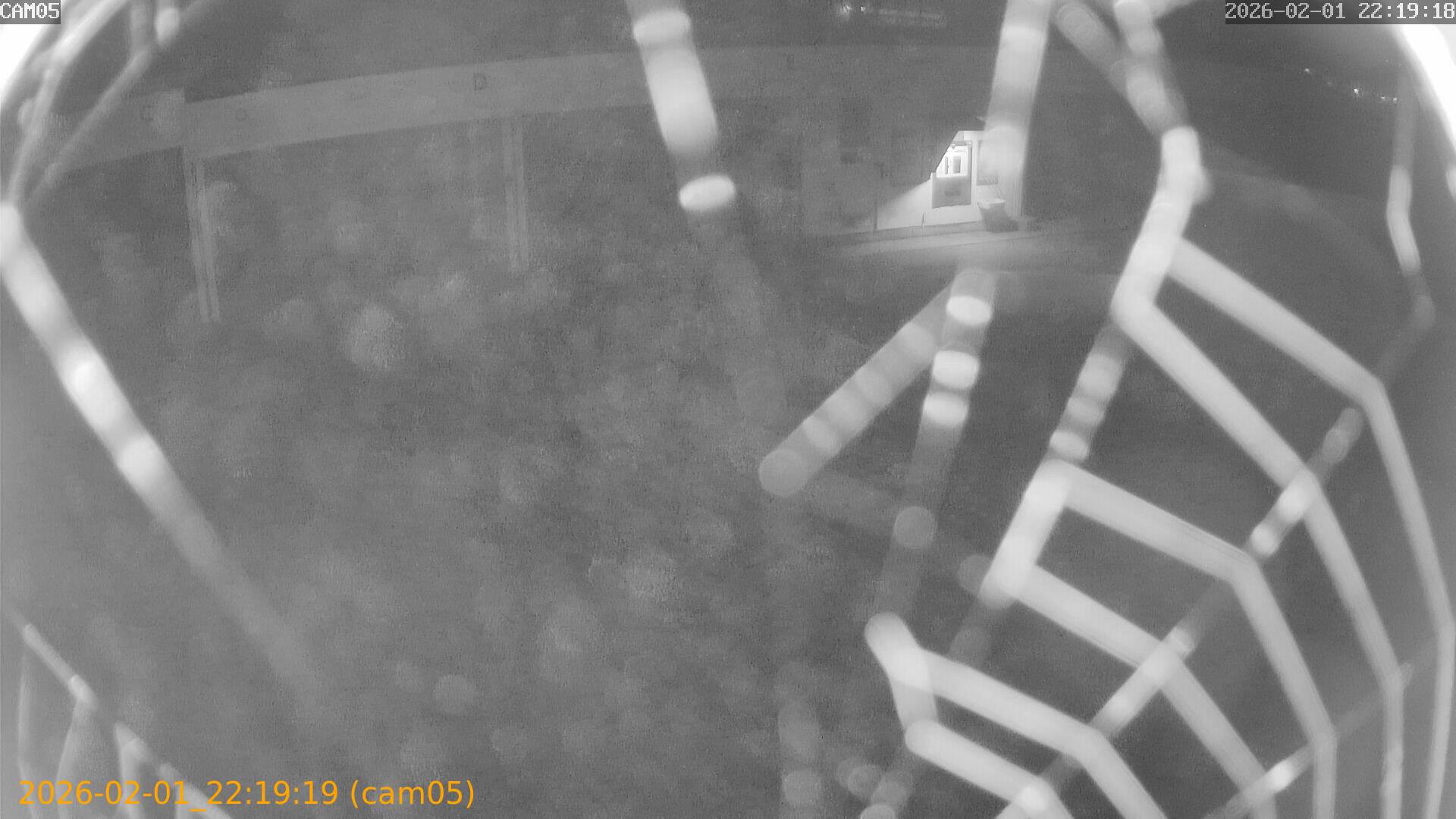 thumbnail_20260201221919