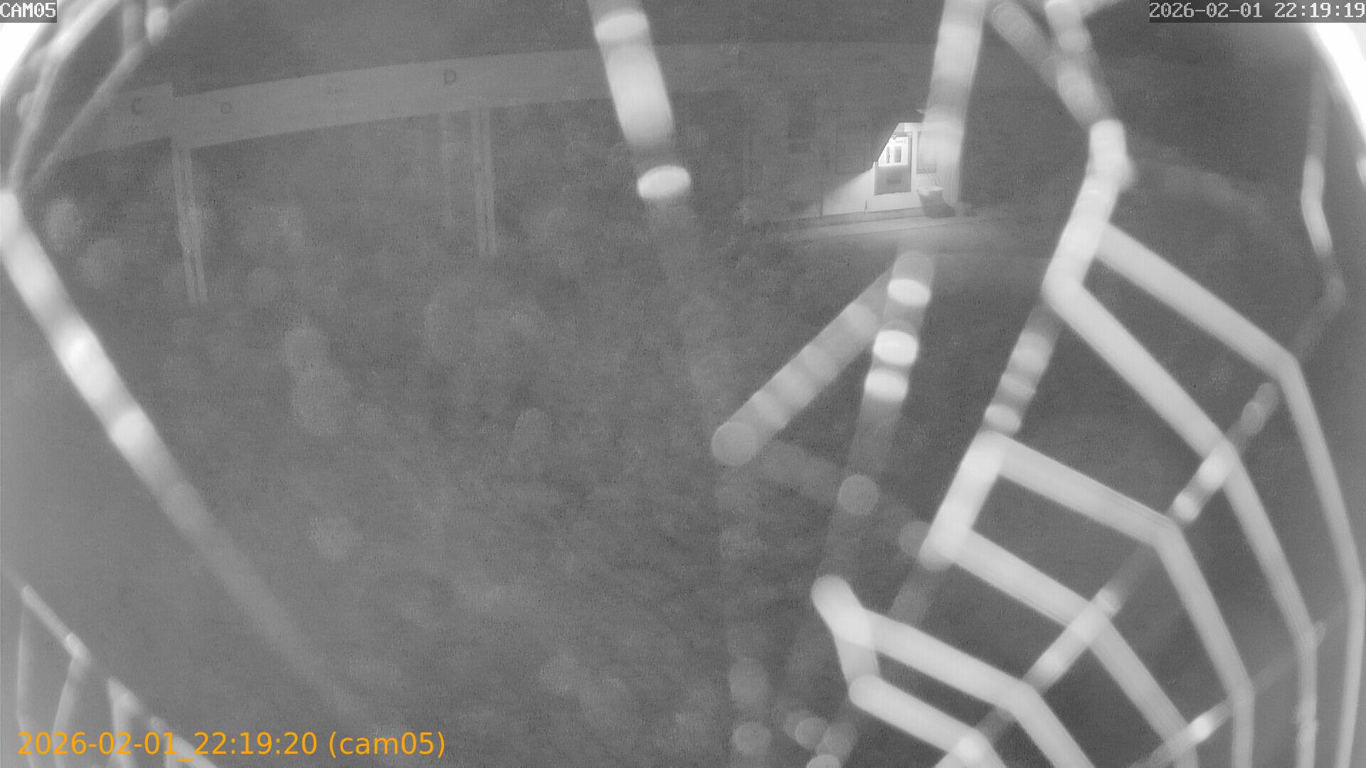 thumbnail_20260201221920