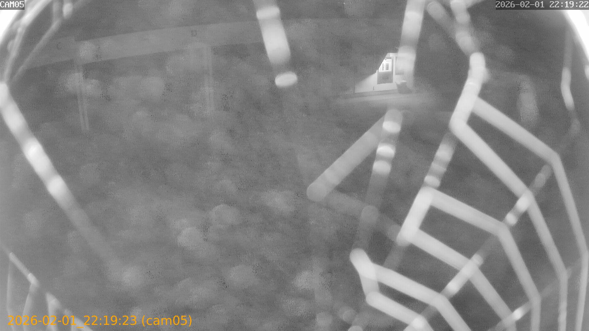 thumbnail_20260201221923