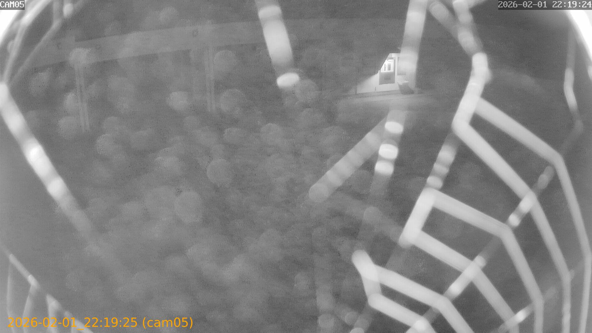 thumbnail_20260201221925