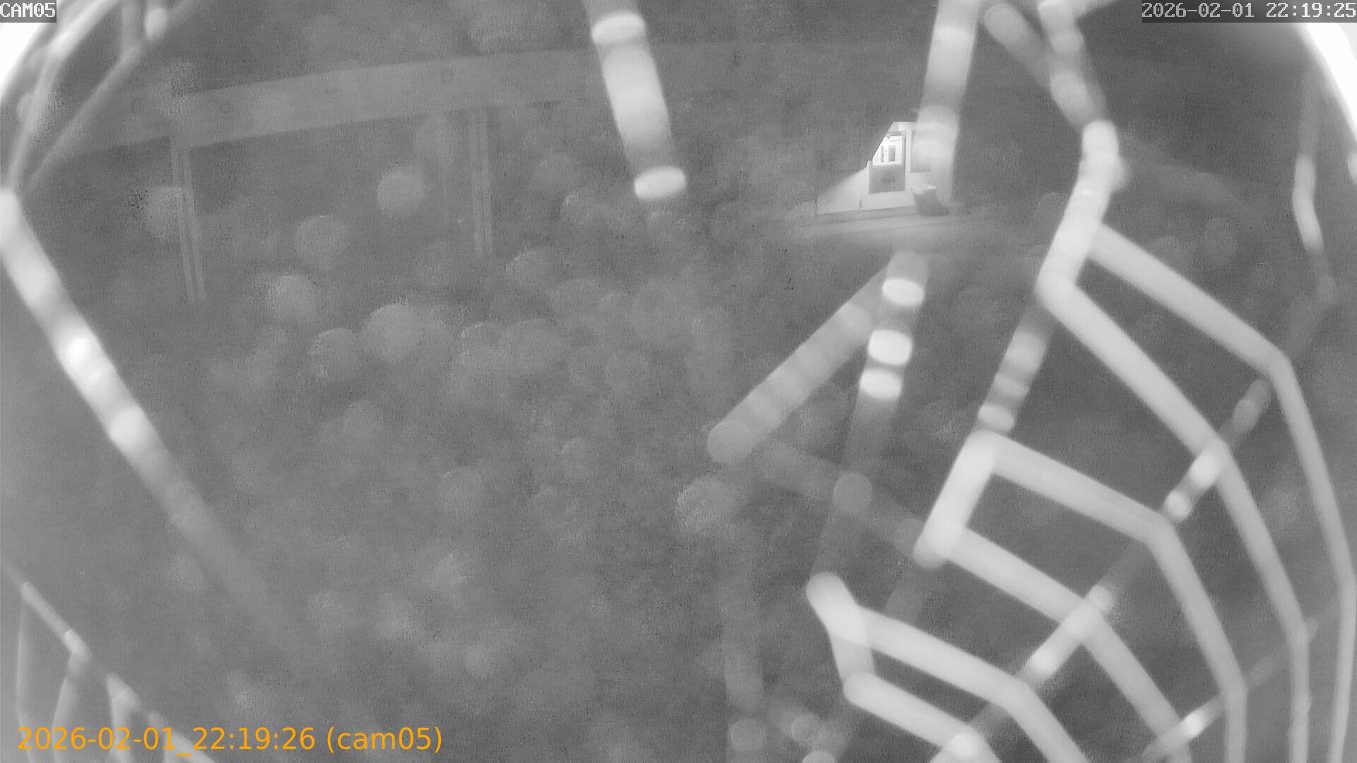 thumbnail_20260201221926