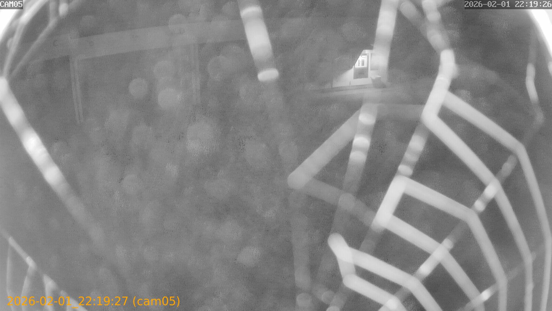 thumbnail_20260201221927