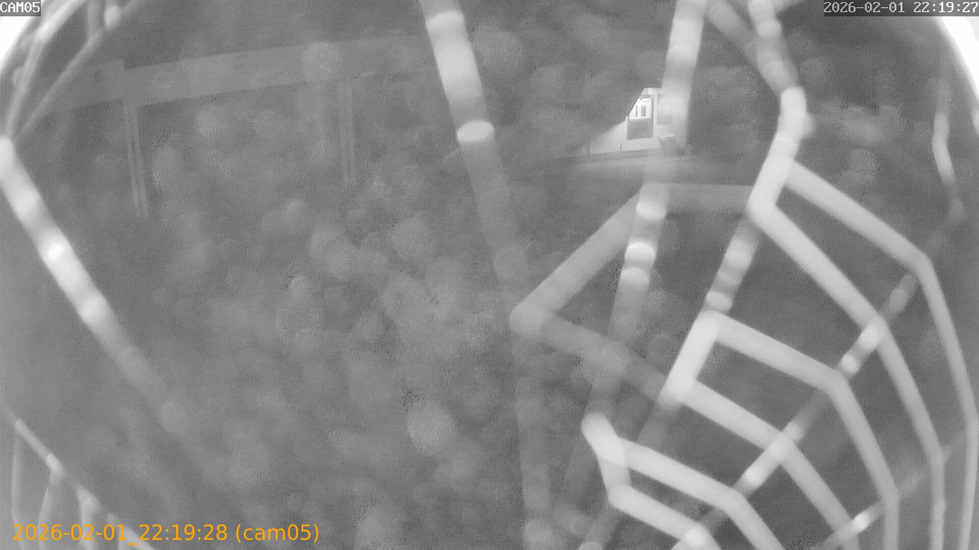 thumbnail_20260201221928