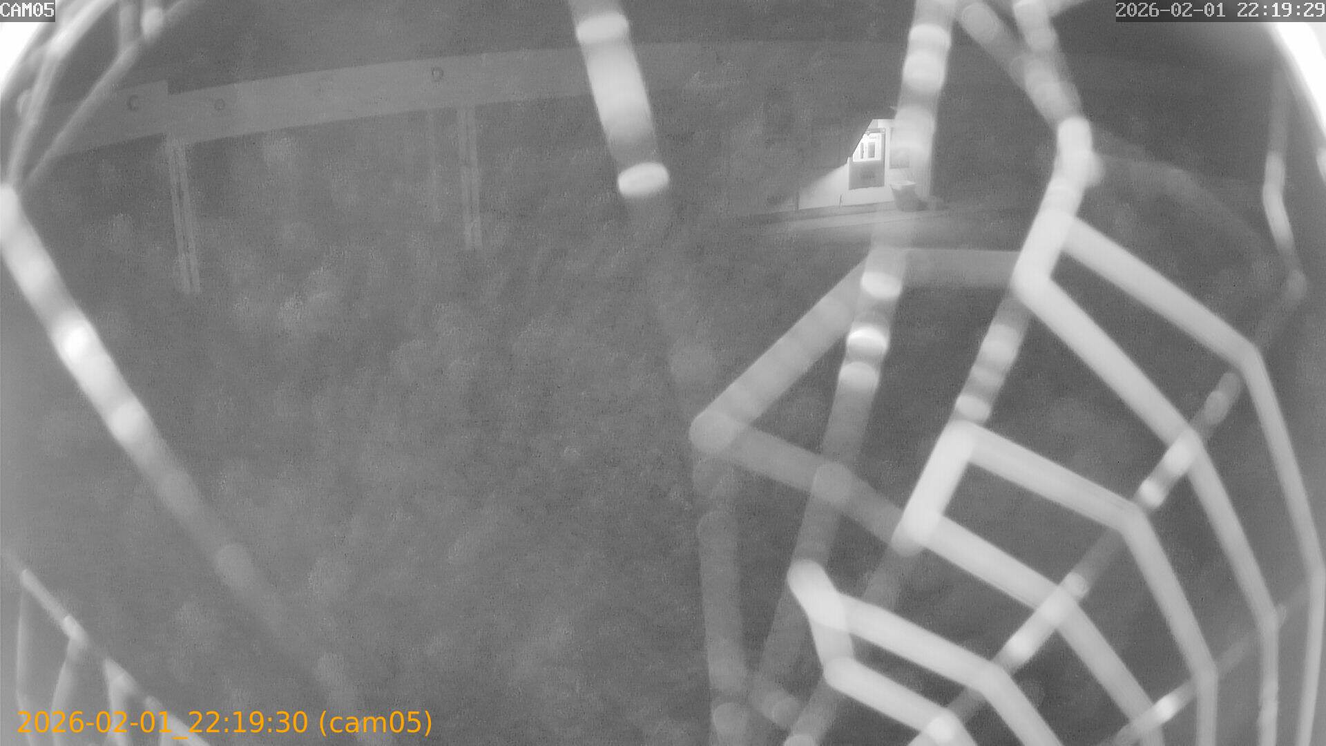 thumbnail_20260201221930