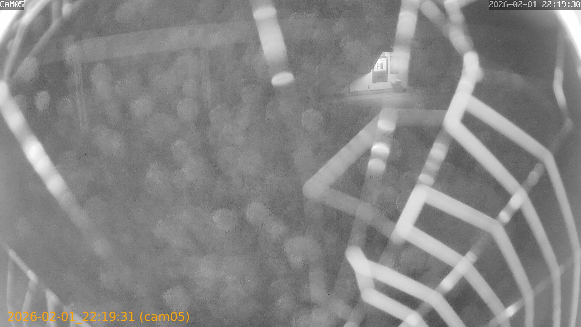 thumbnail_20260201221931