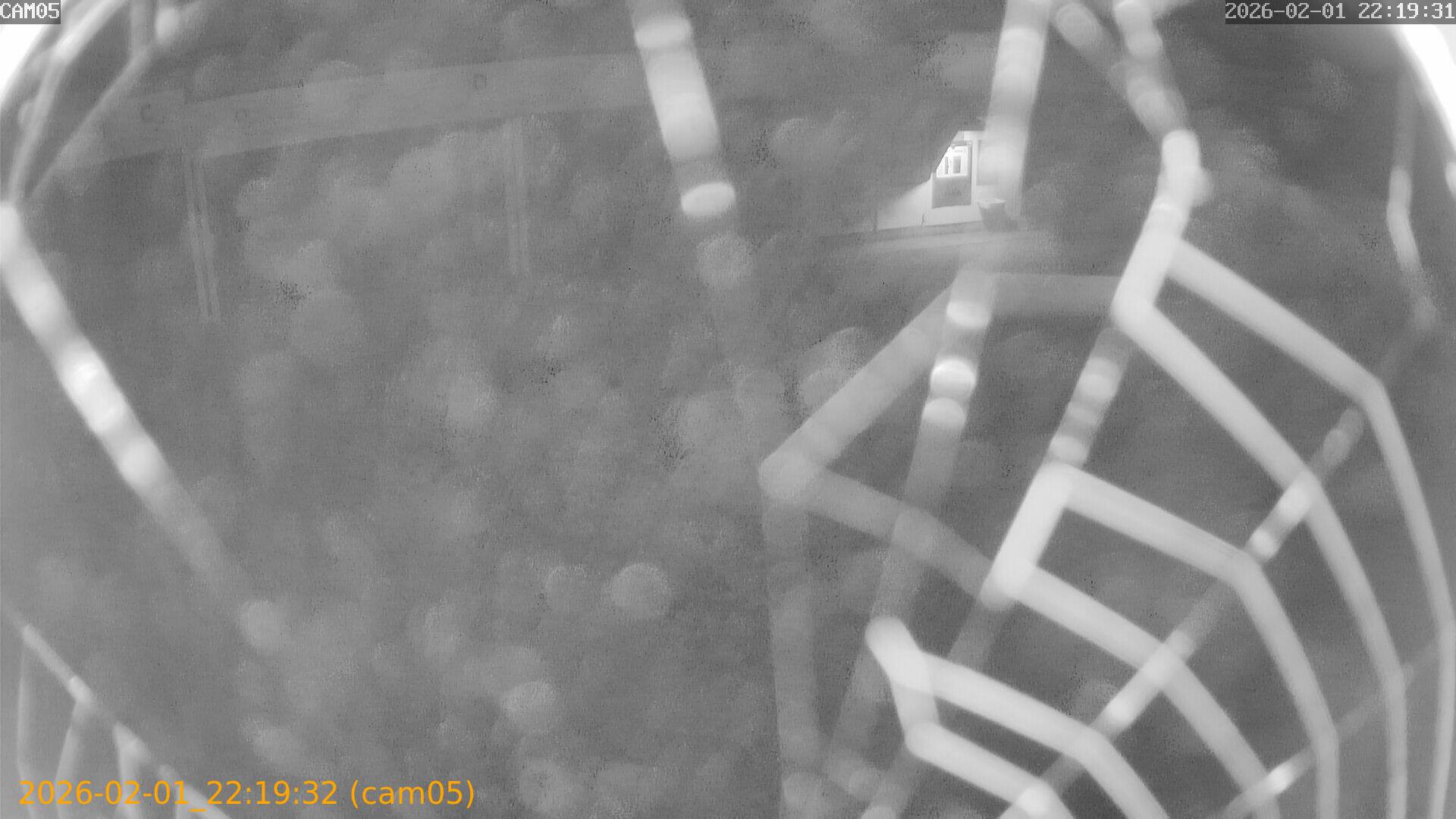 thumbnail_20260201221932