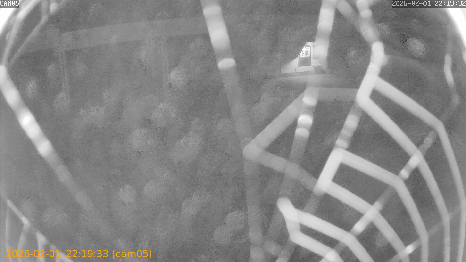 thumbnail_20260201221933