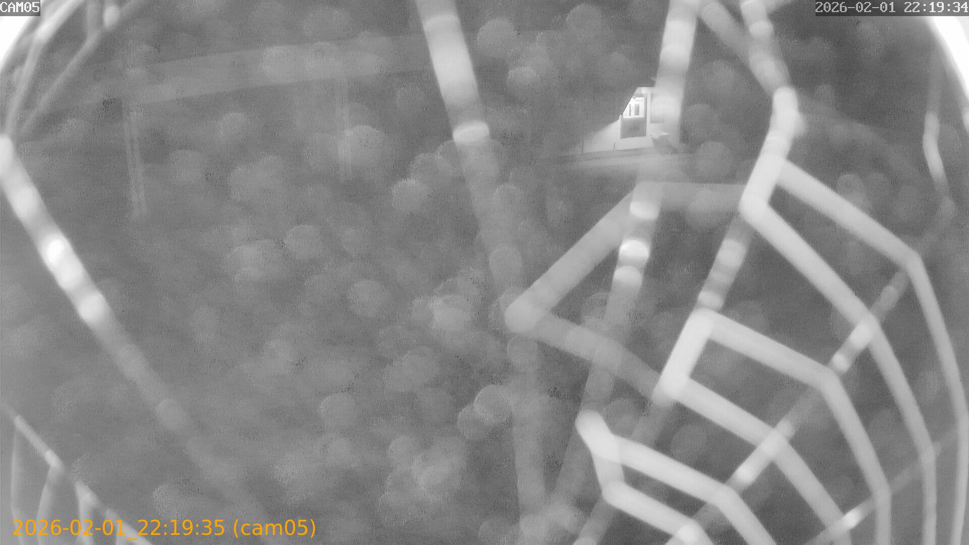 thumbnail_20260201221935