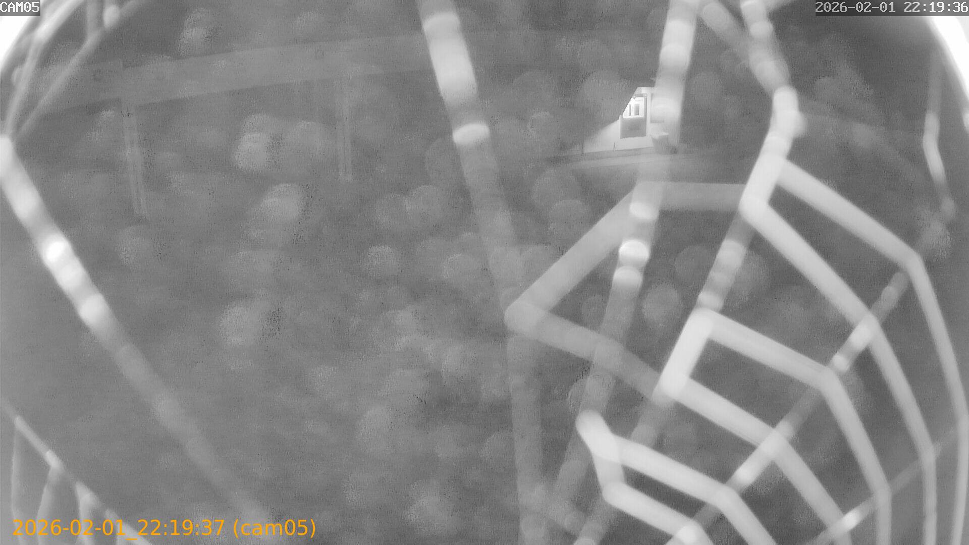 thumbnail_20260201221937