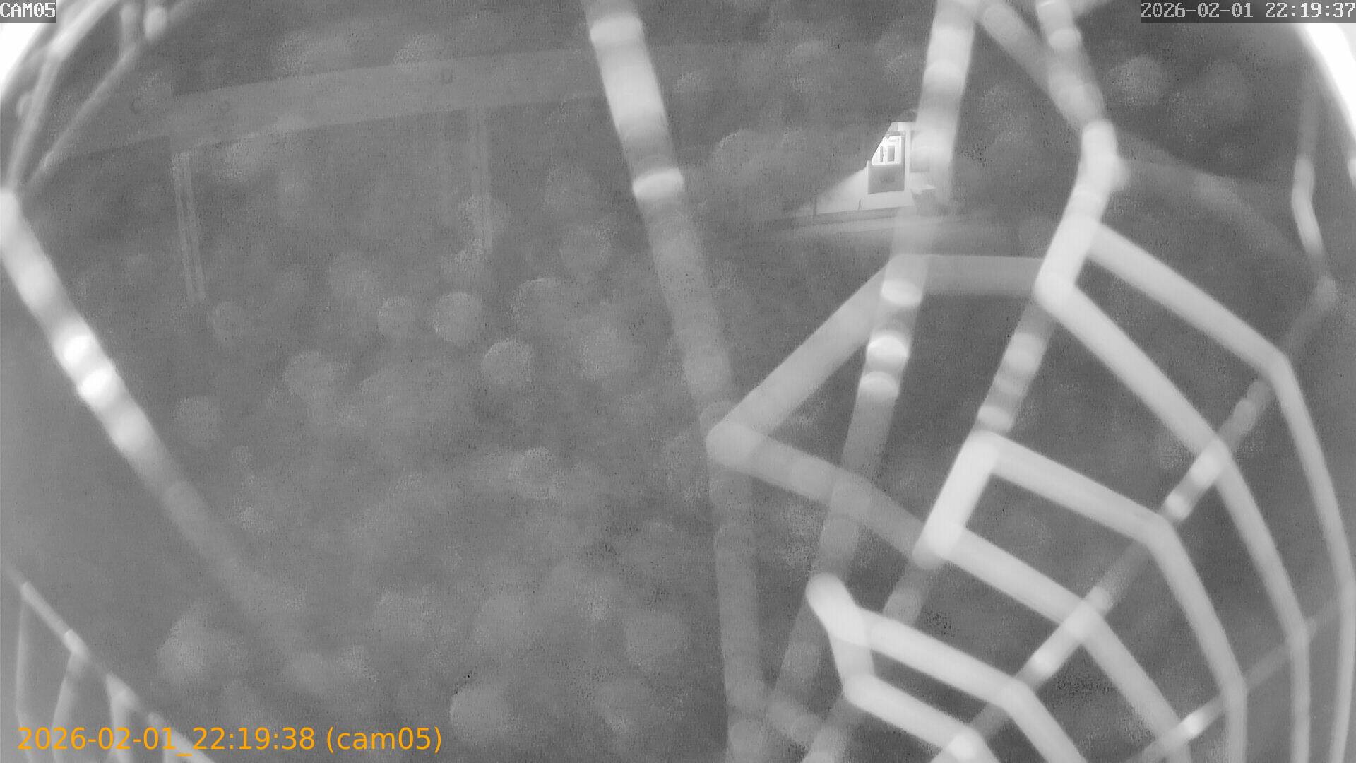 thumbnail_20260201221938