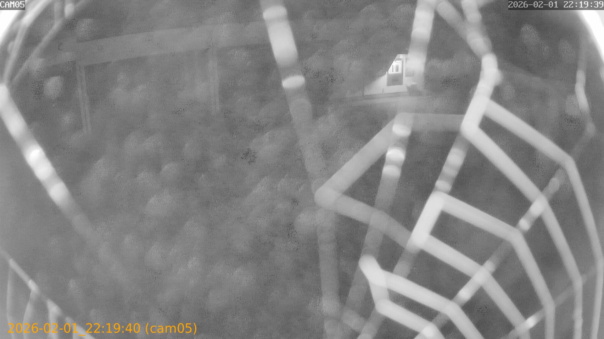 thumbnail_20260201221940