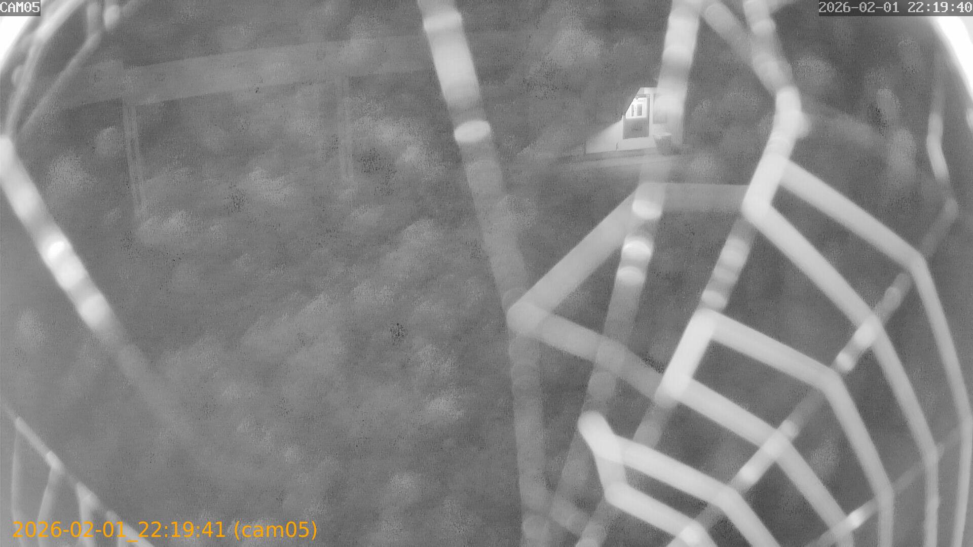 thumbnail_20260201221941