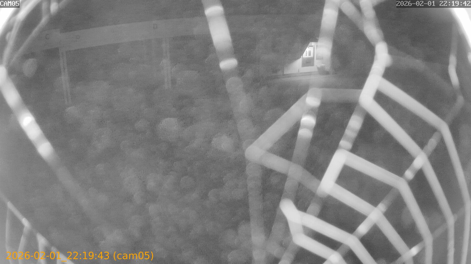 thumbnail_20260201221943