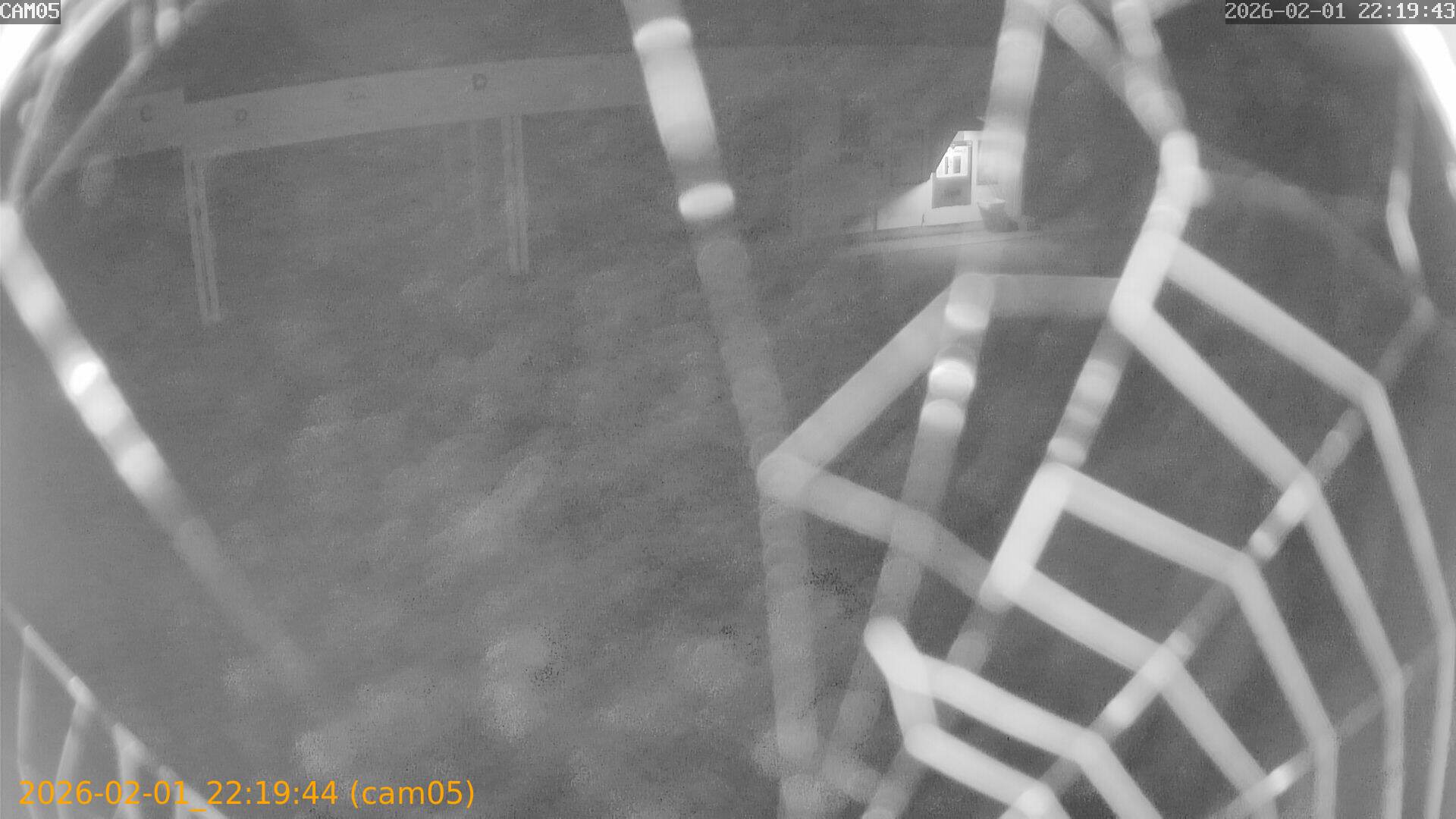 thumbnail_20260201221944