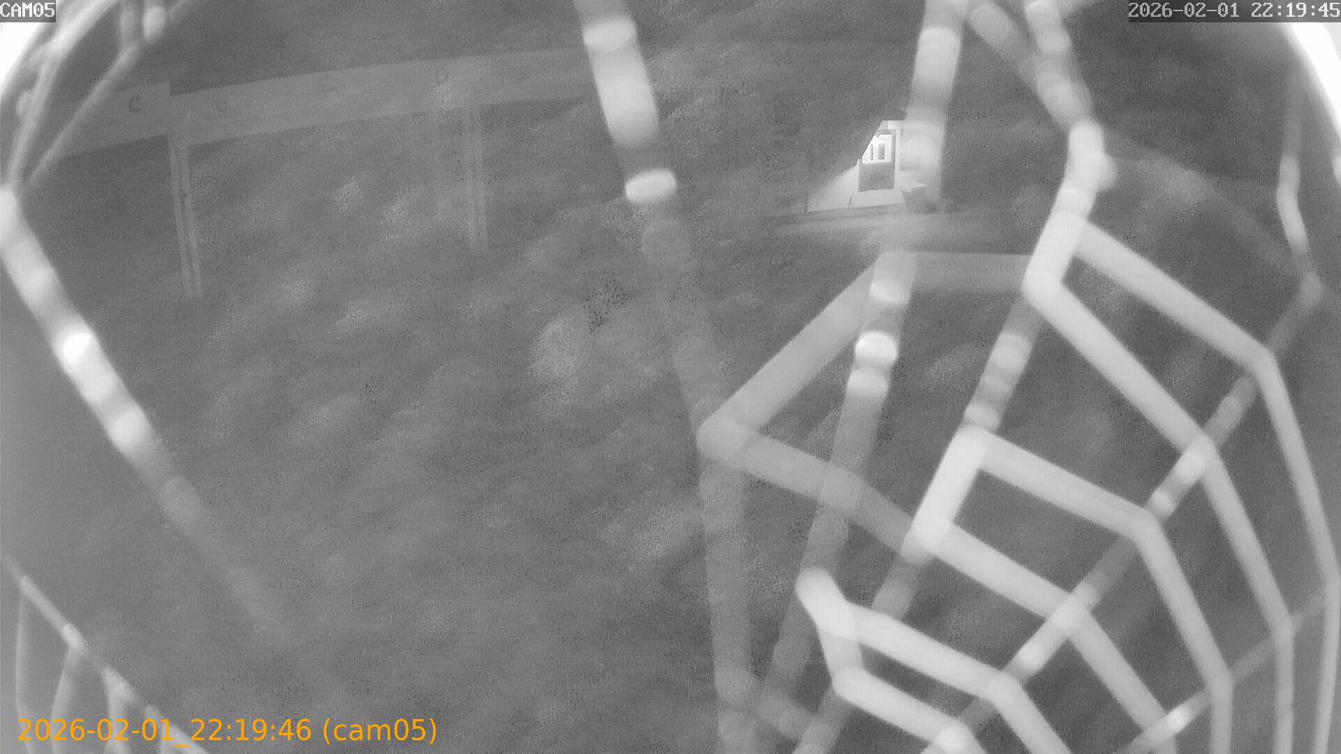 thumbnail_20260201221946