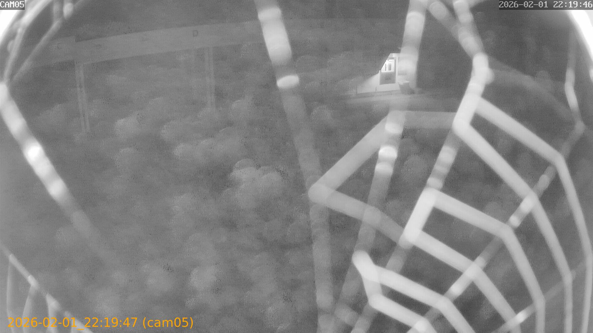 thumbnail_20260201221947