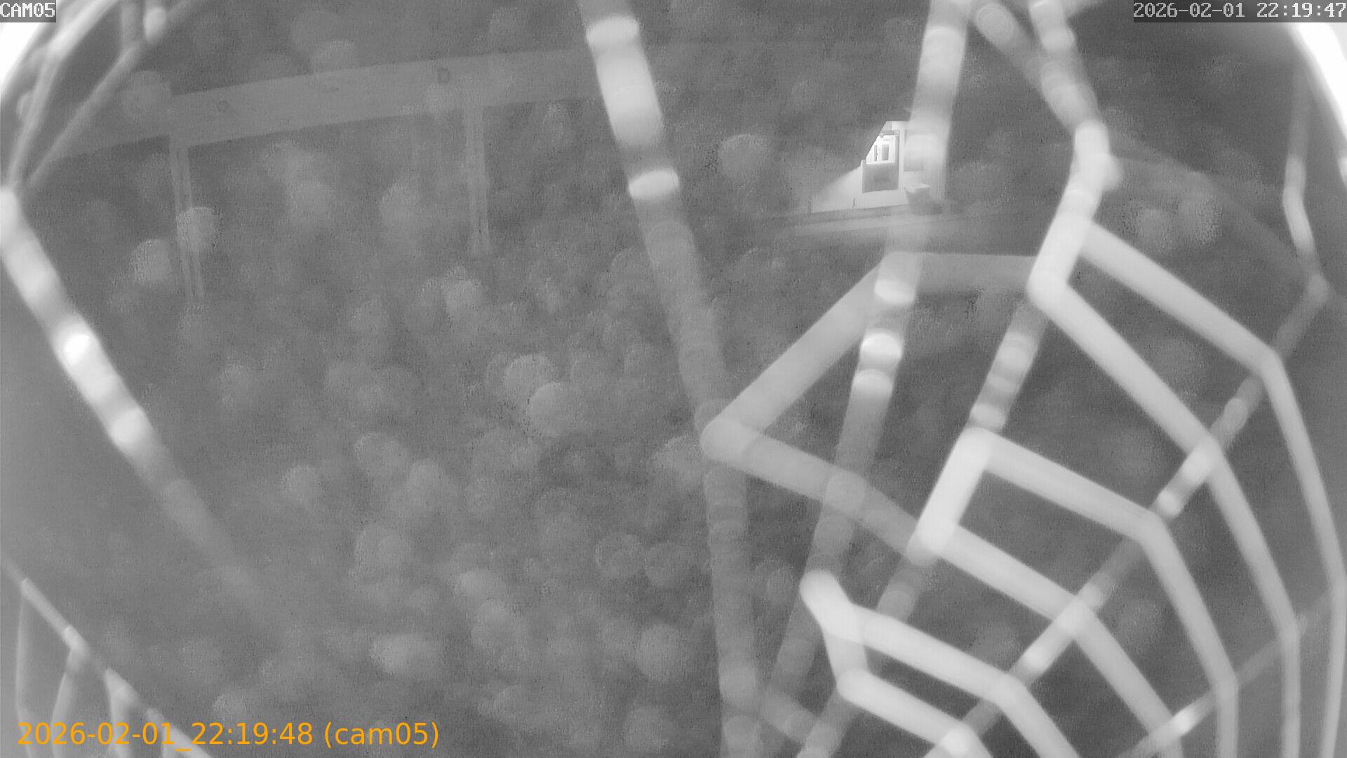 thumbnail_20260201221948