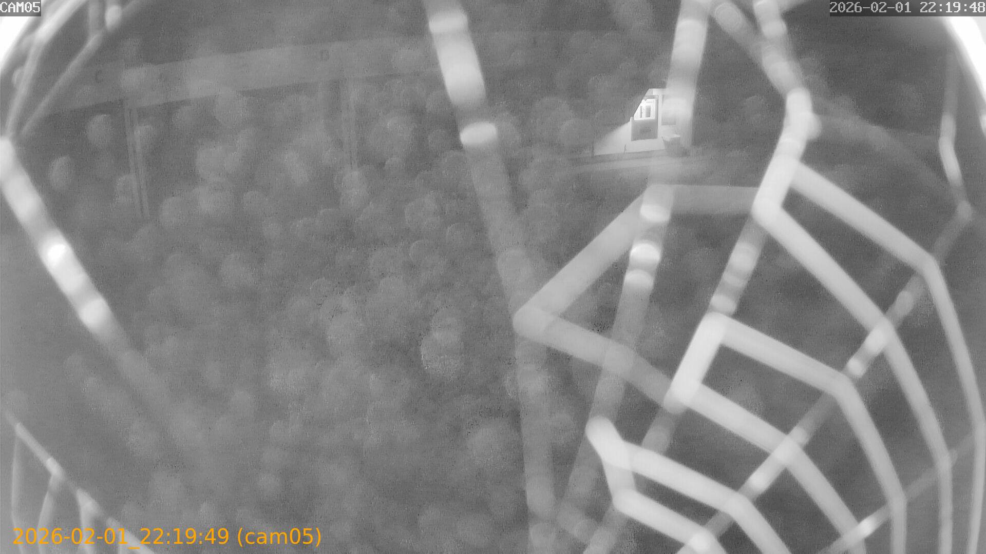 thumbnail_20260201221949