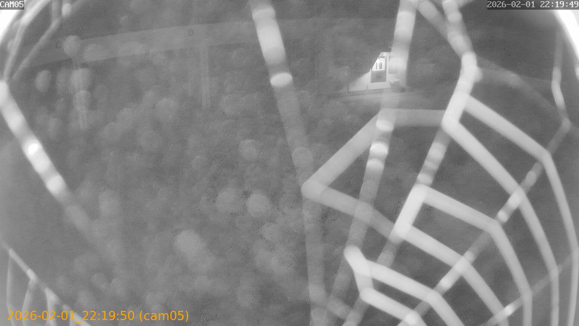 thumbnail_20260201221950