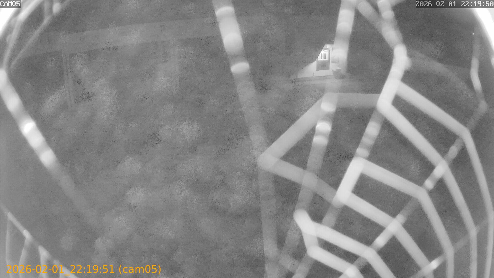 thumbnail_20260201221951