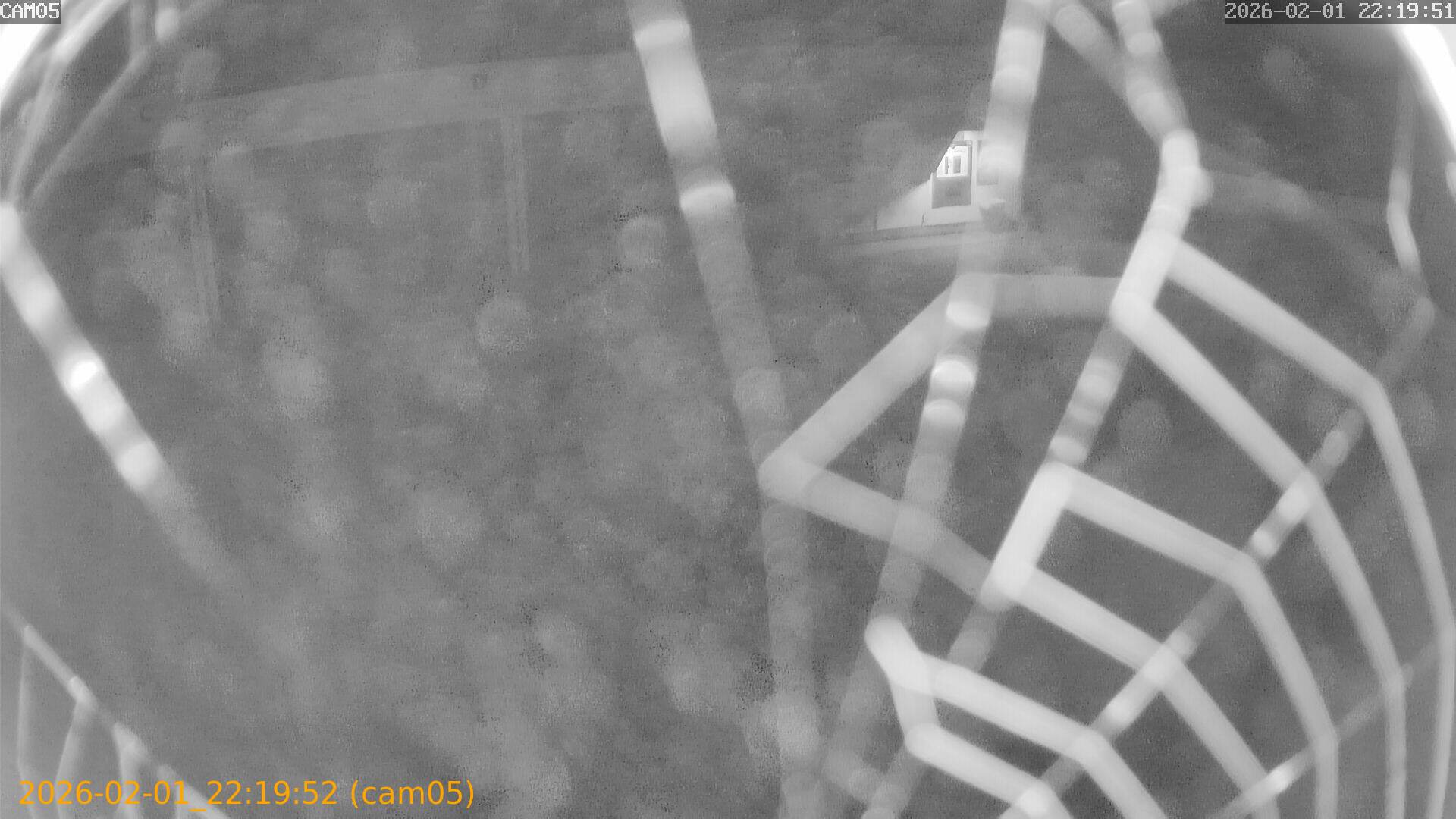 thumbnail_20260201221952