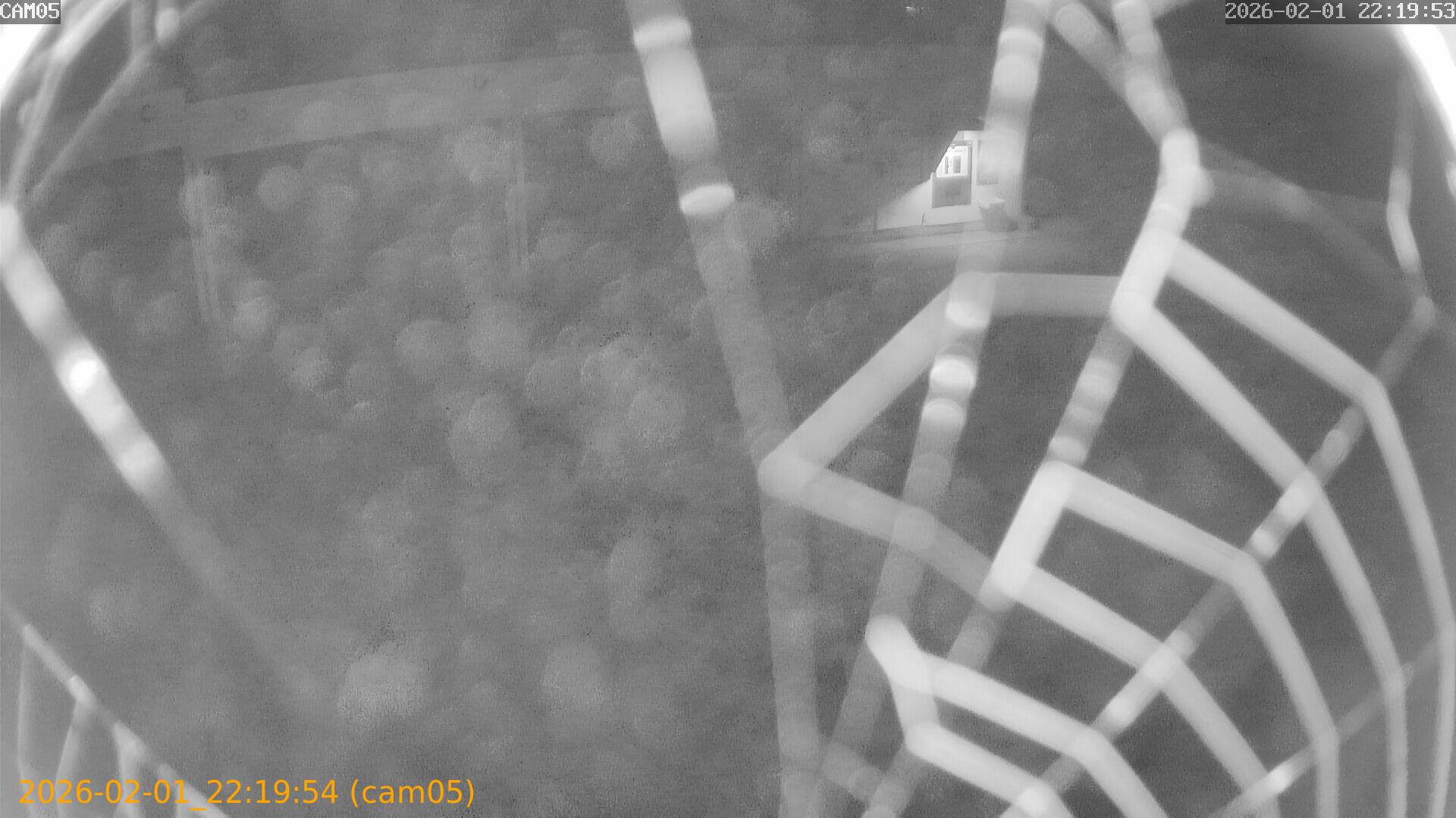 thumbnail_20260201221954