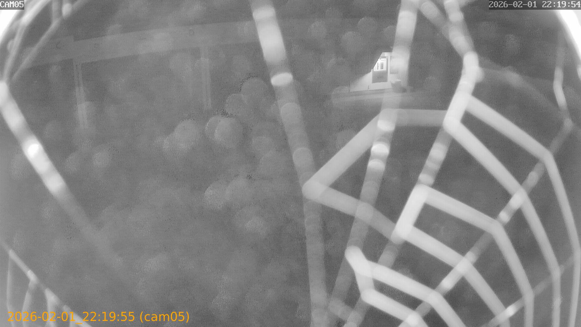 thumbnail_20260201221955