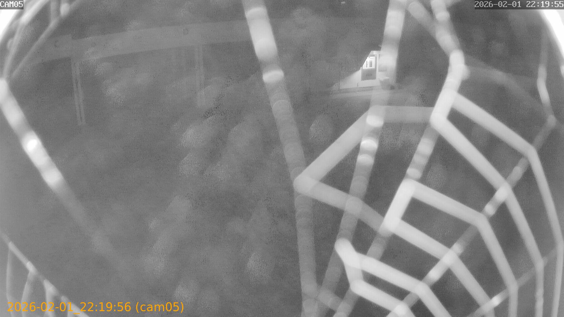 thumbnail_20260201221956