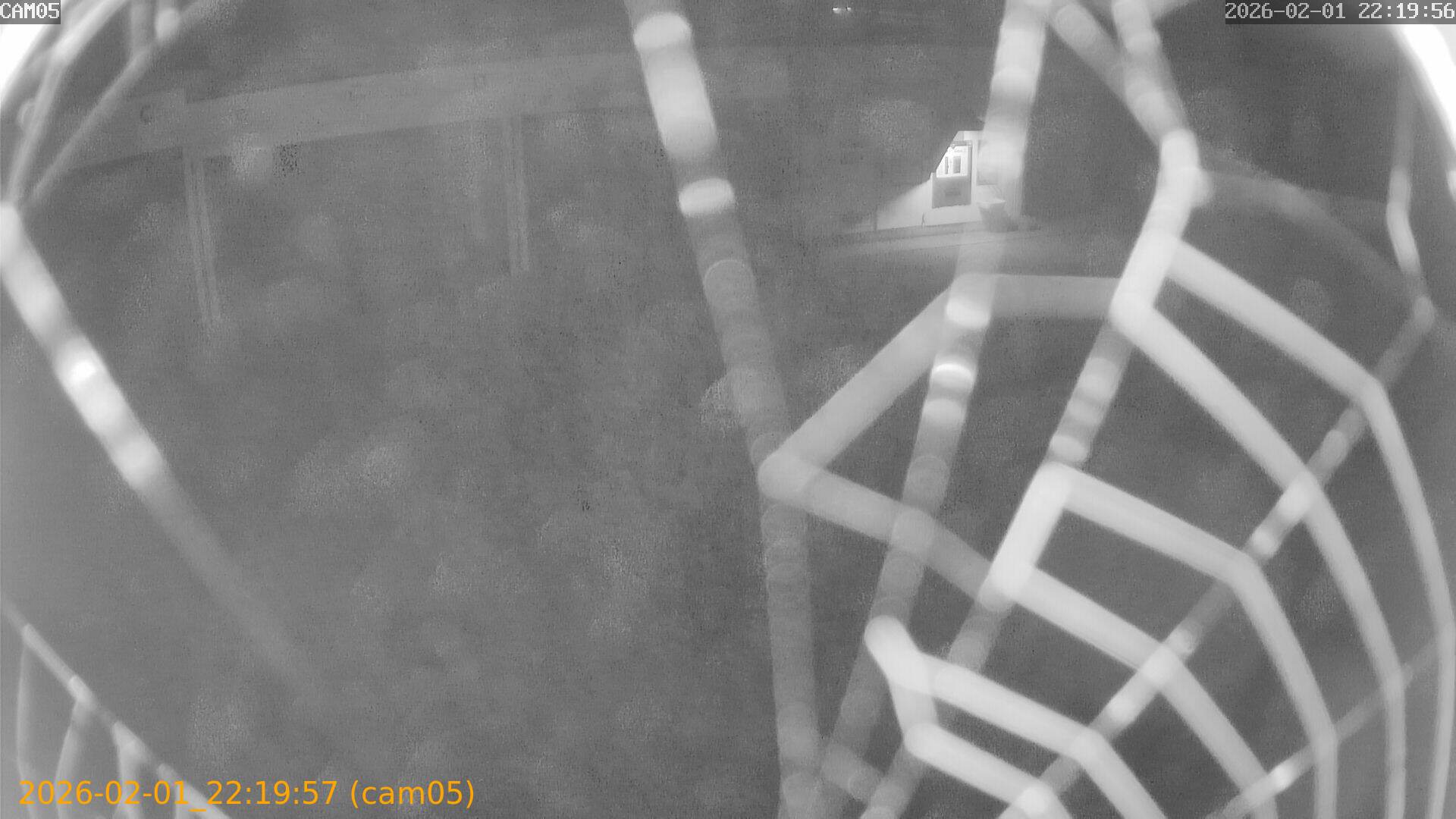 thumbnail_20260201221957