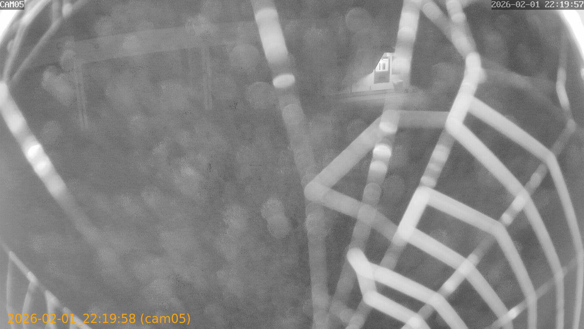 thumbnail_20260201221958