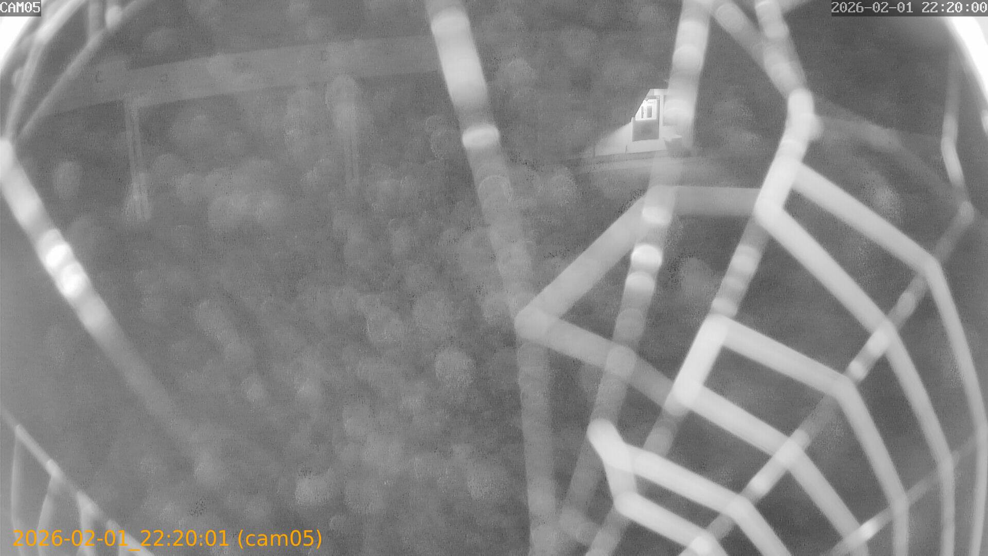 thumbnail_20260201222001