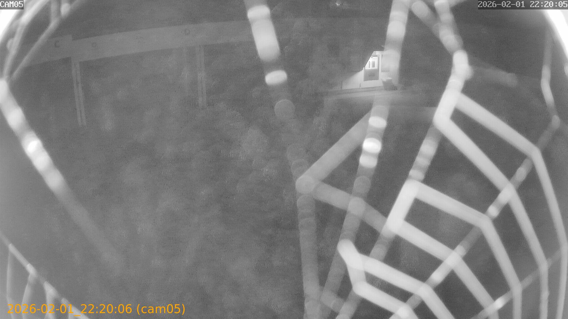 thumbnail_20260201222006