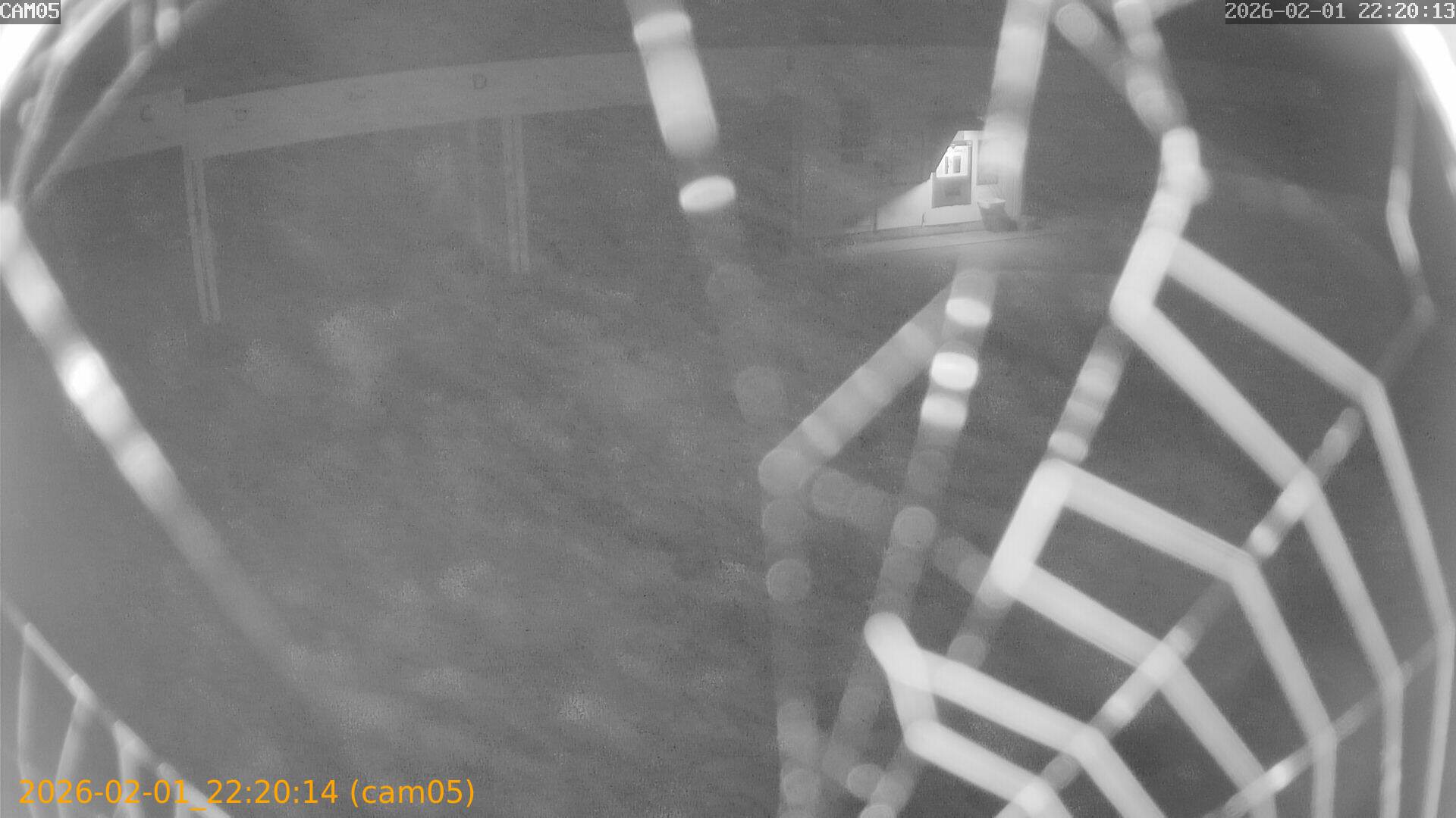 thumbnail_20260201222014