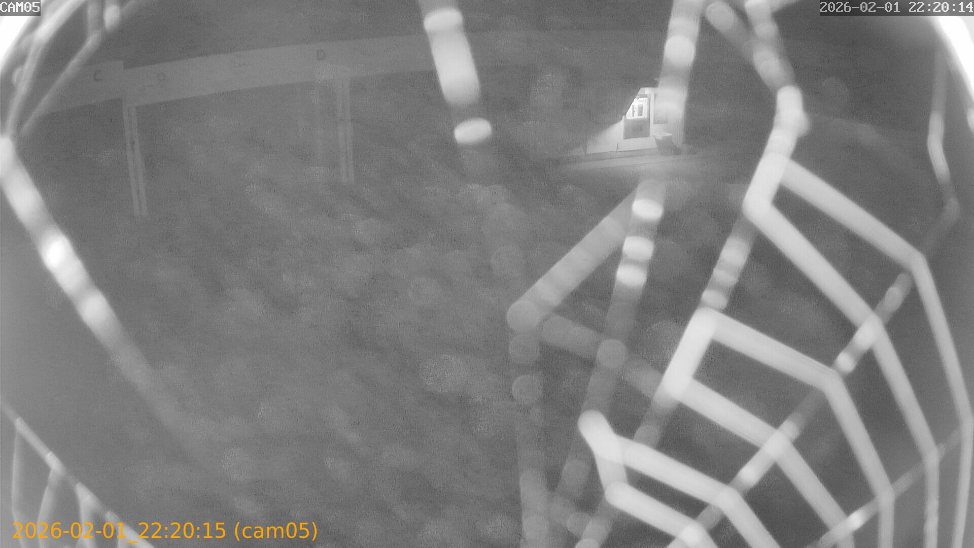 thumbnail_20260201222015