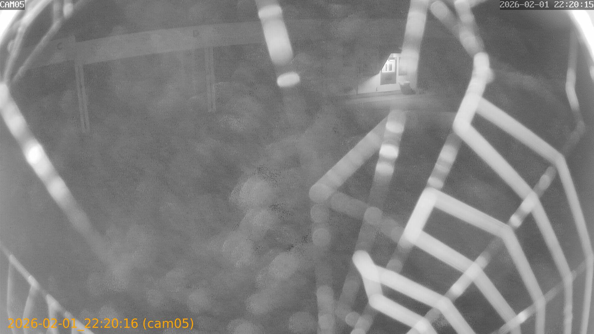 thumbnail_20260201222016