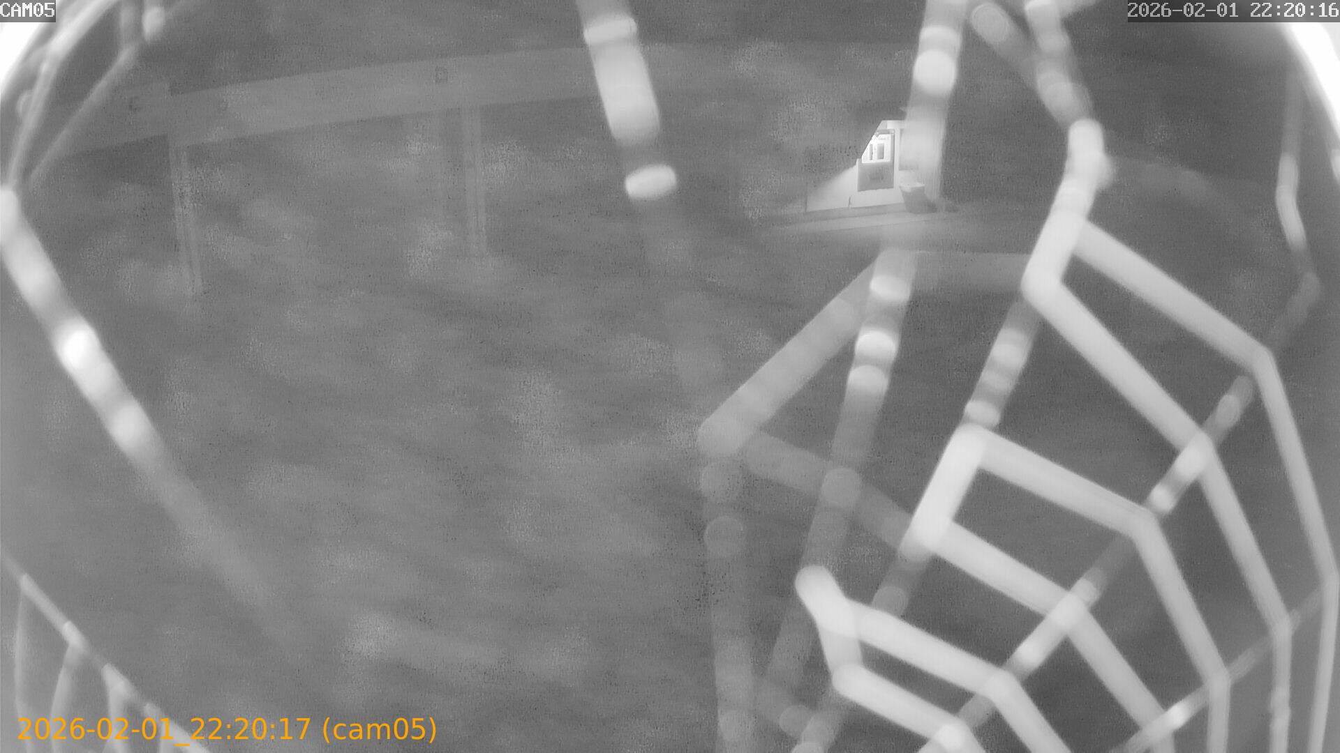 thumbnail_20260201222017