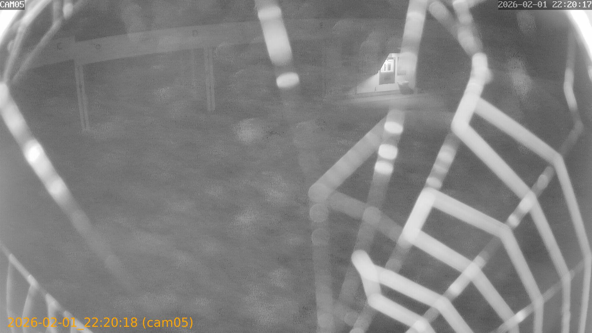 thumbnail_20260201222018