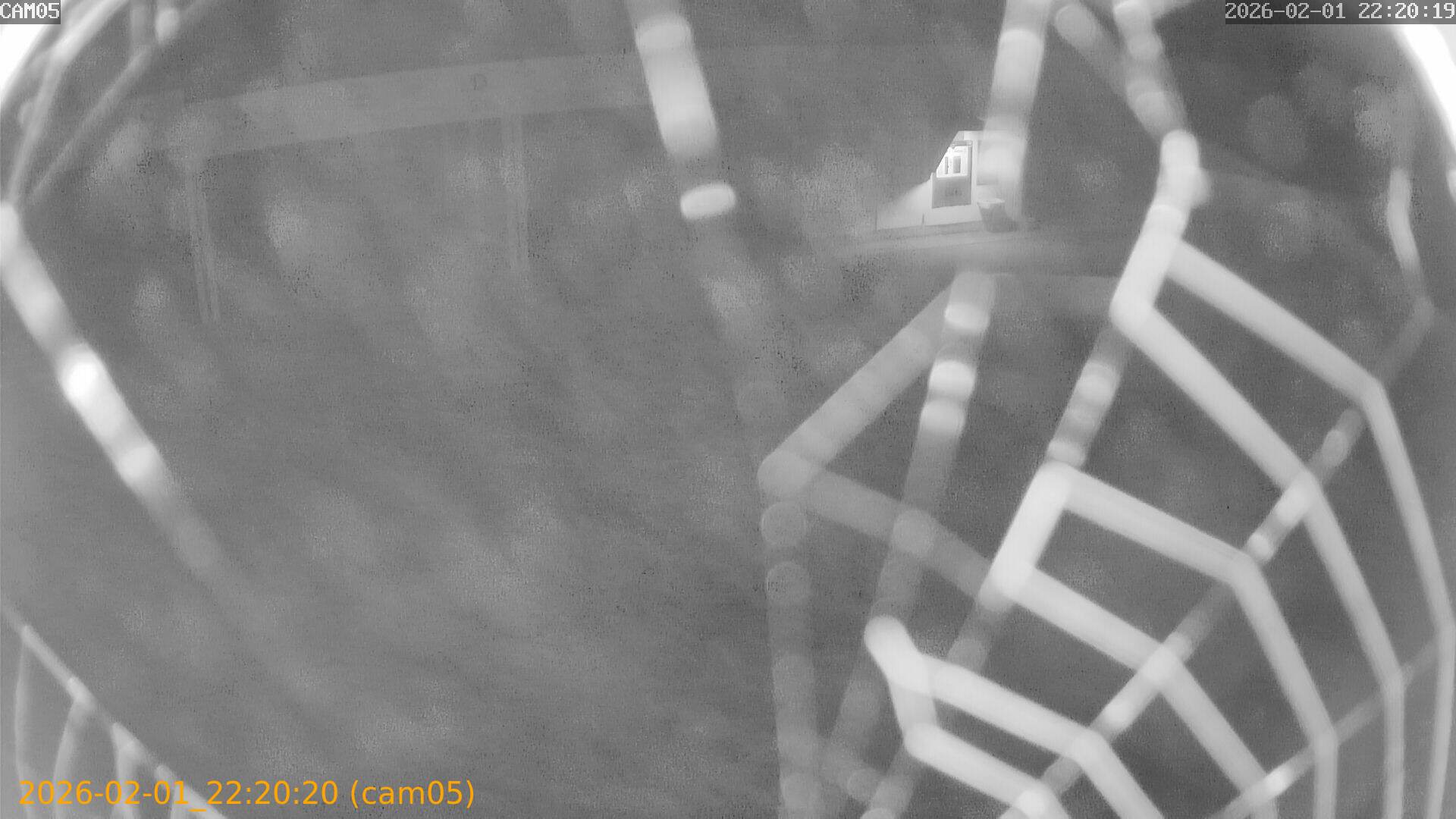 thumbnail_20260201222020