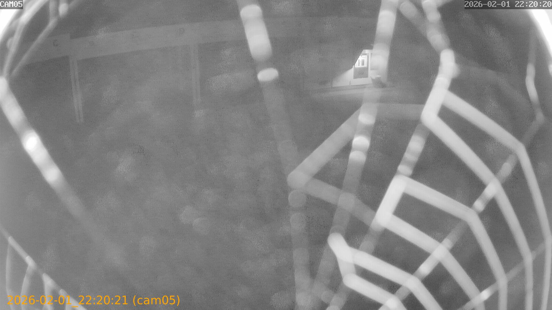 thumbnail_20260201222021