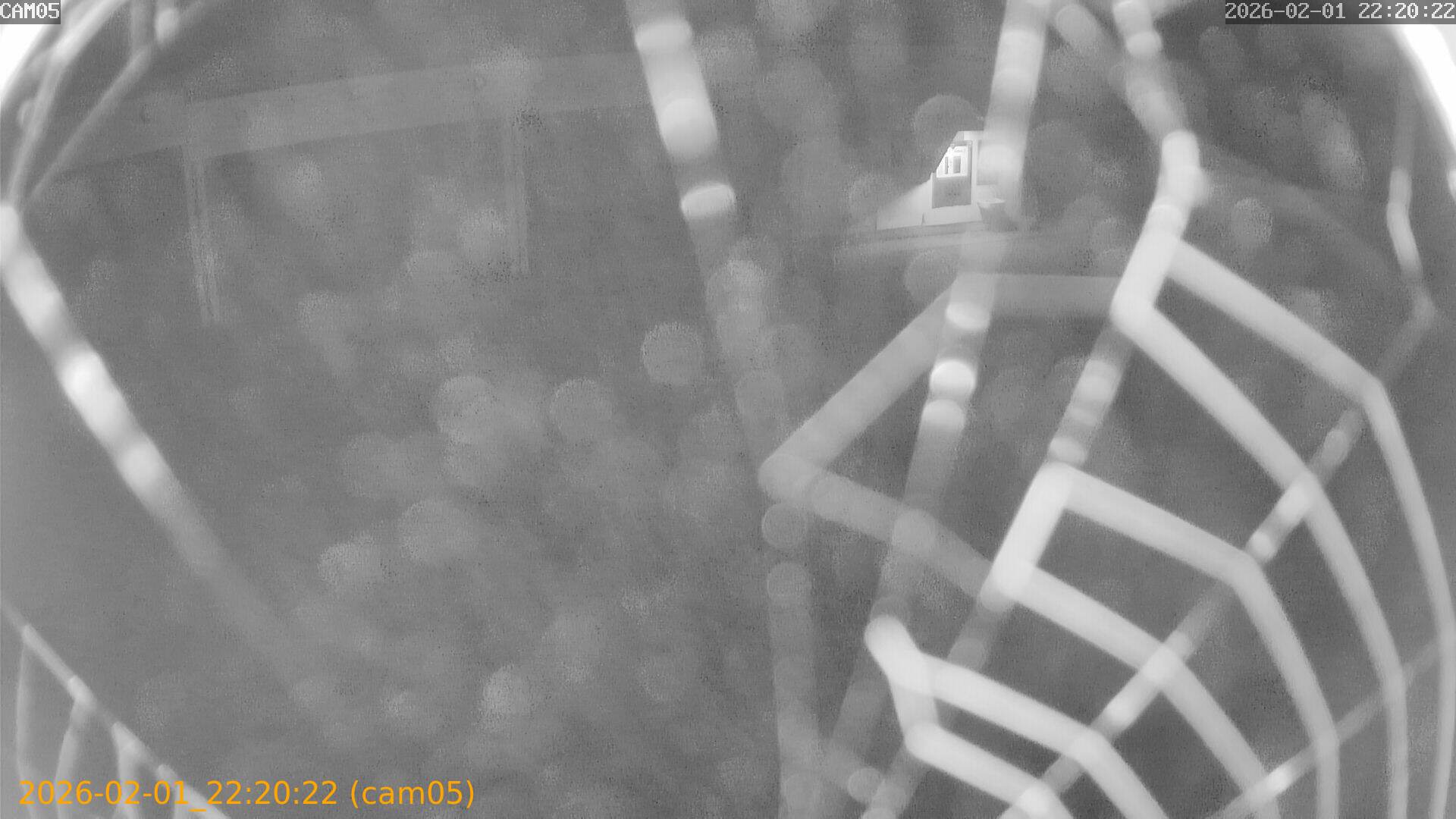 thumbnail_20260201222022