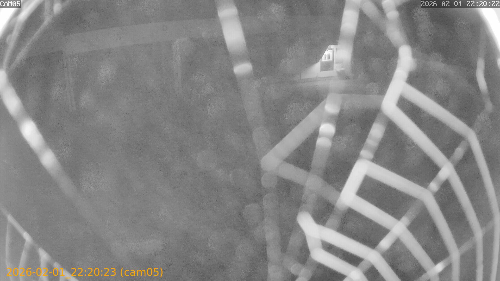 thumbnail_20260201222023