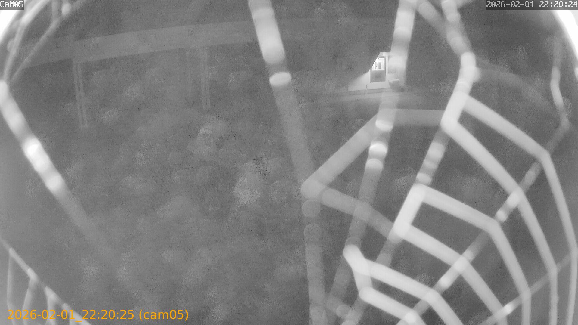 thumbnail_20260201222025