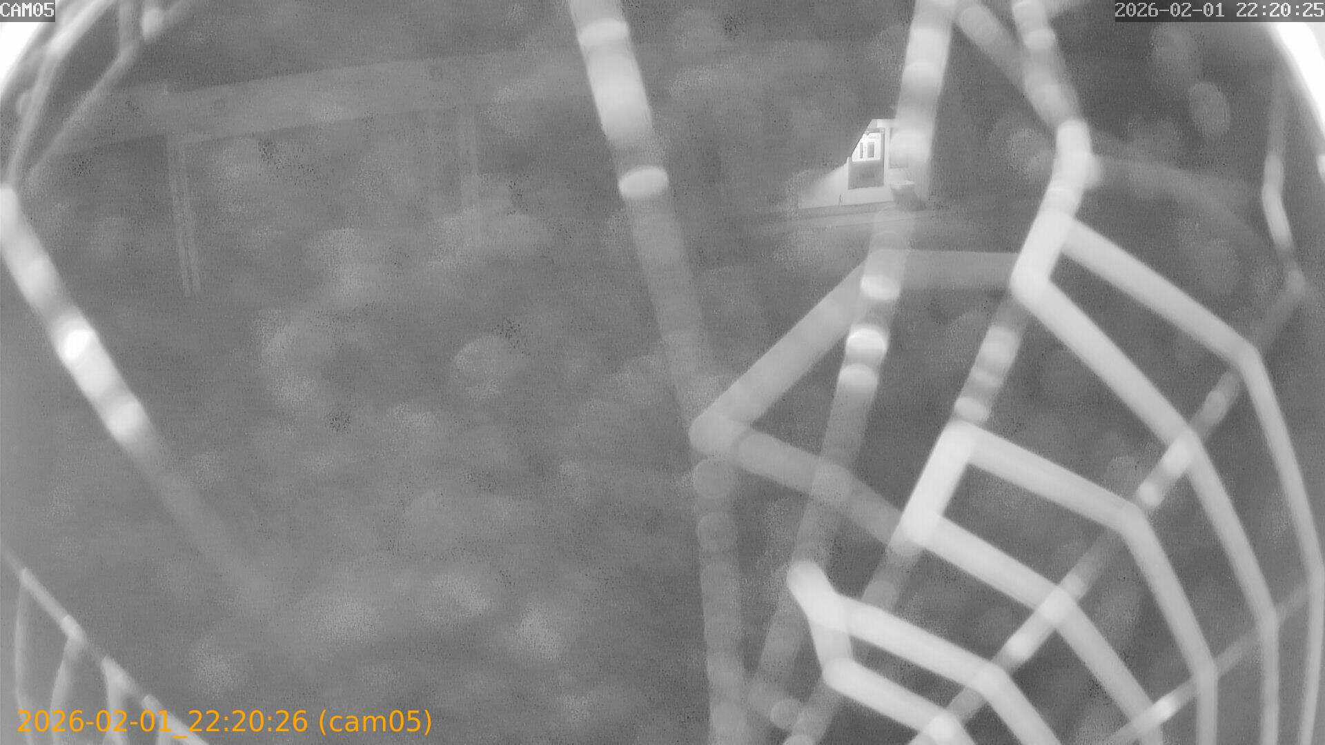 thumbnail_20260201222026