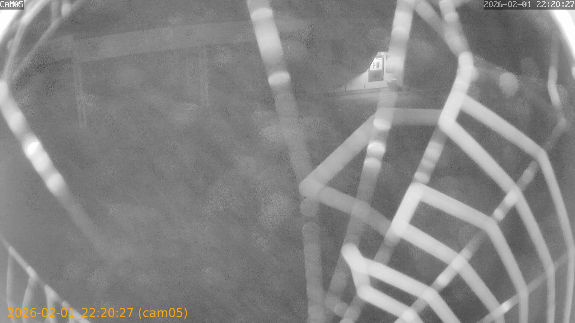 thumbnail_20260201222027