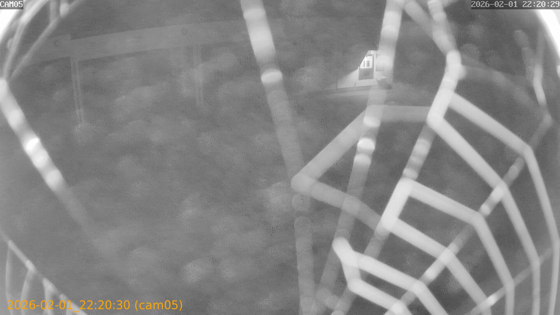 thumbnail_20260201222030