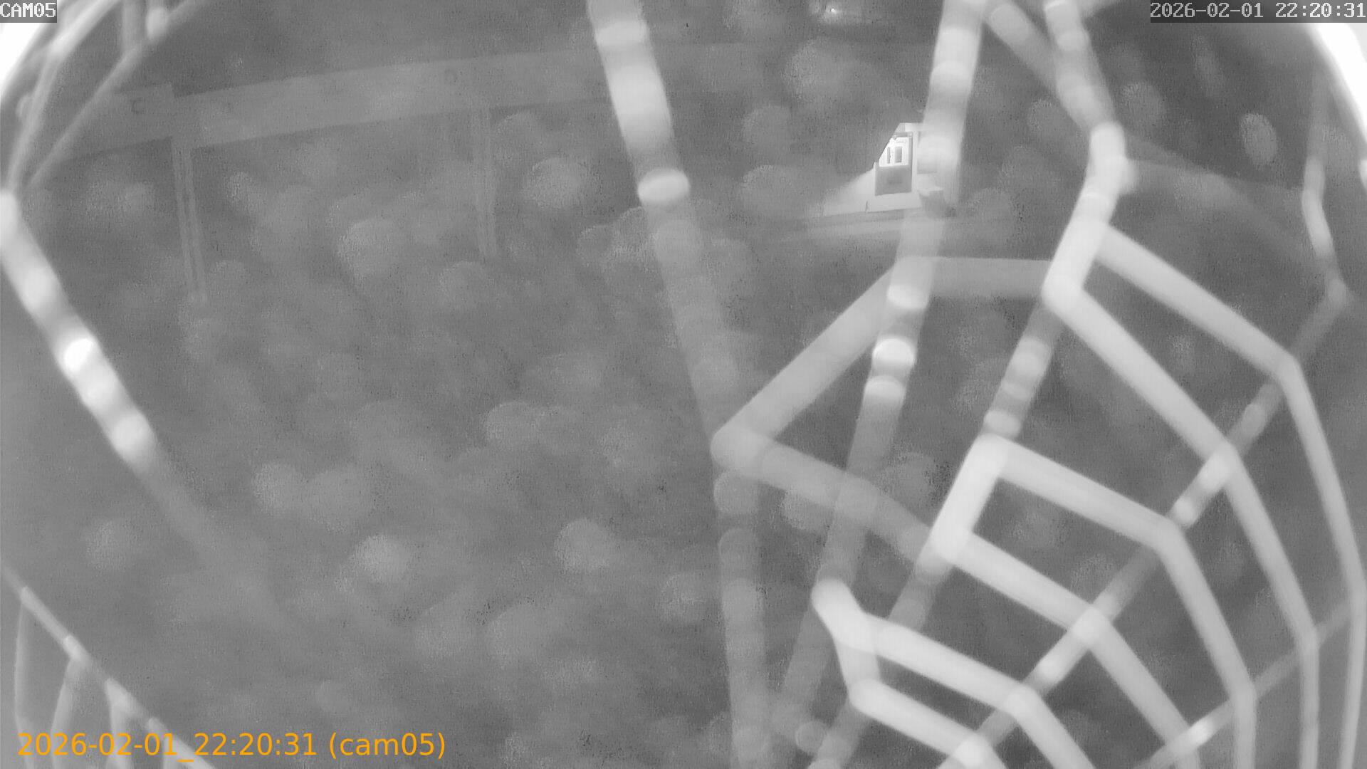 thumbnail_20260201222031