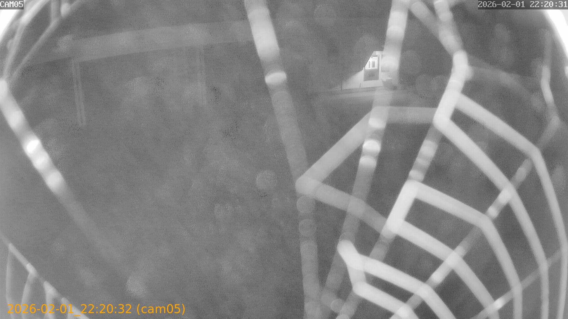 thumbnail_20260201222032